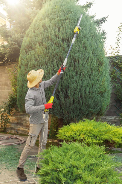 Best Commercial Tree Services  in Point Pleasant, NJ
